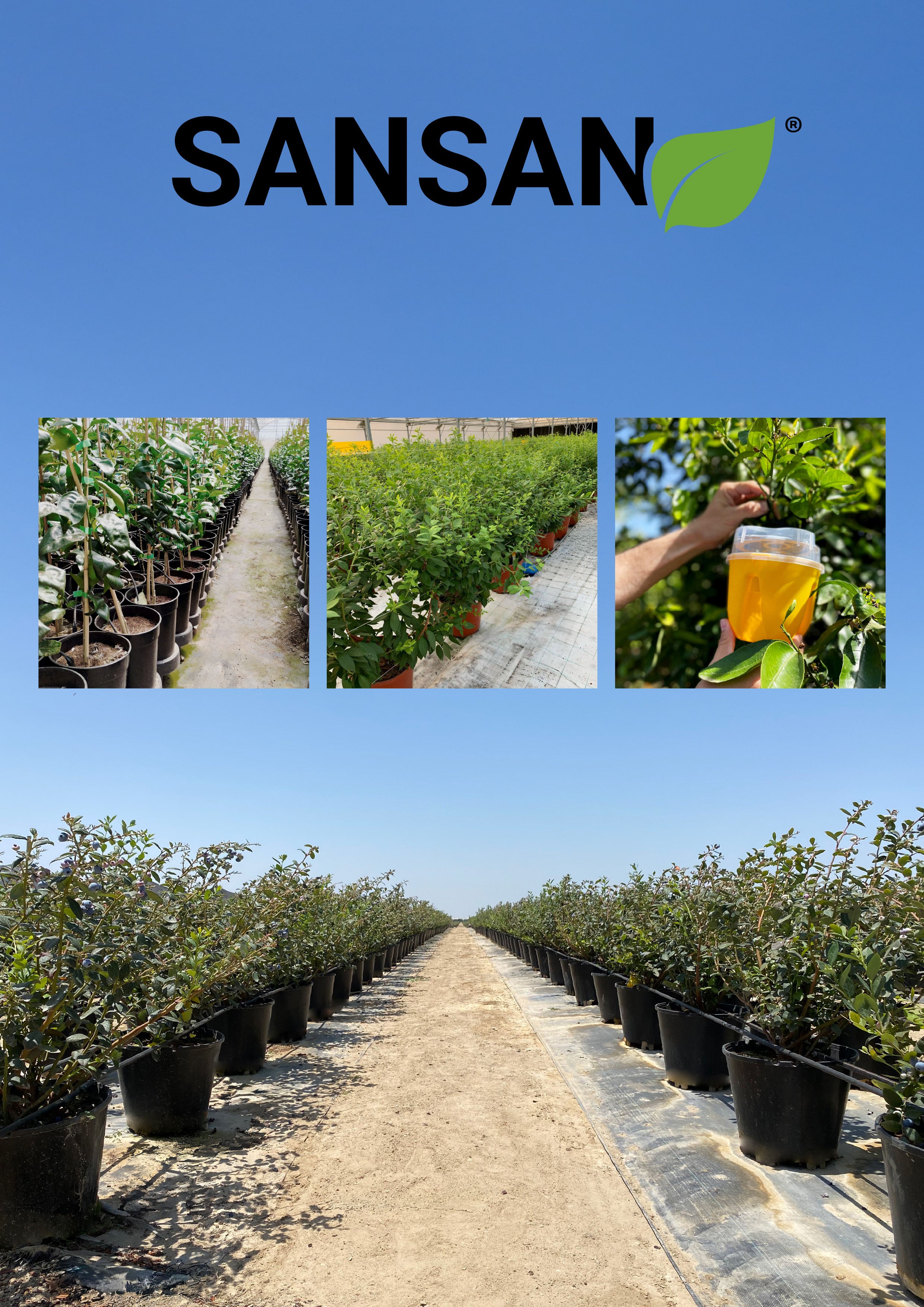 Nazca refuerza su apuesta por el sector agroalimentario y se asocia con SanSan, líder en soluciones sostenibles de cultivo eficiente